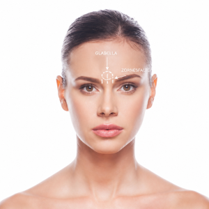 Glabella-, Zornesfalte
